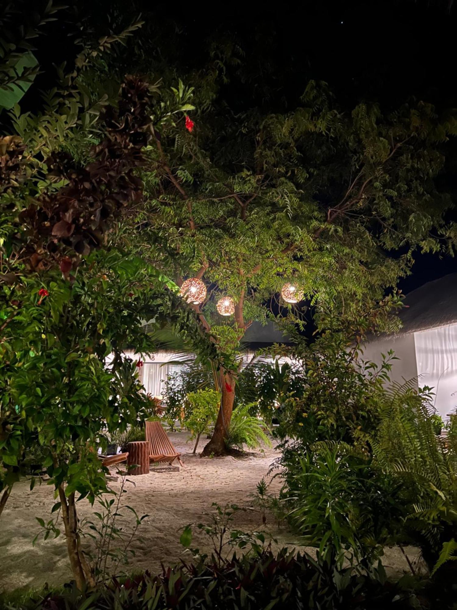 Coco Gasthof Thoddoo-Atoll